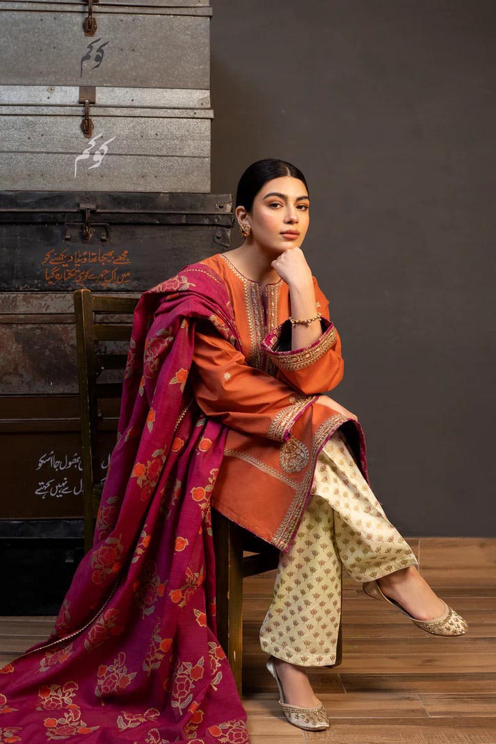 DHANAK 3pc Heavy Embroidered
